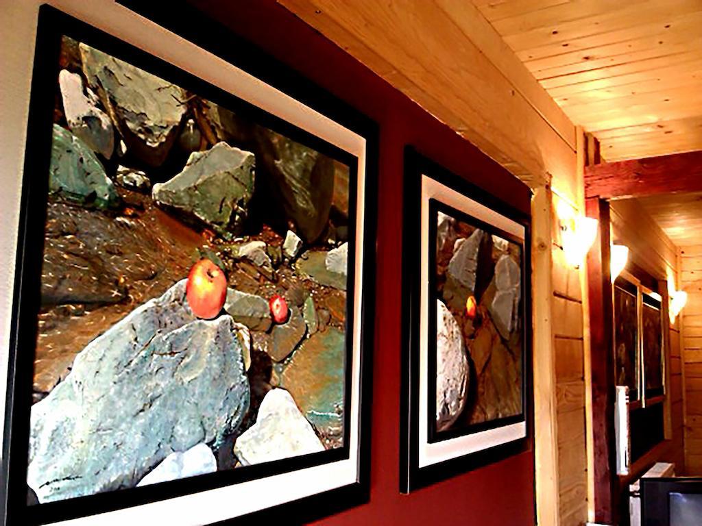 Art Apartments Minic Kolašin Eksteriør billede