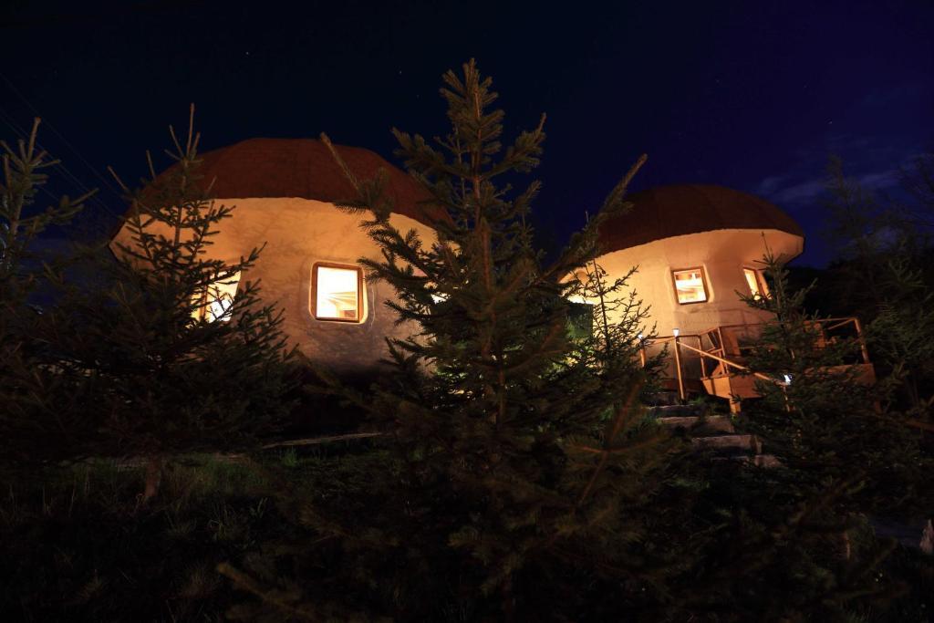 Art Apartments Minic Kolašin Værelse billede